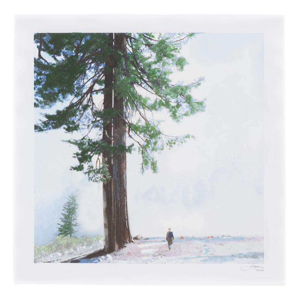 ISCA GREENFIELD-SANDERS

Redwood, 2021

mixed media watercolor with color pencil

14h x 14w in

Framed: 17h x 17w in

&amp;nbsp;